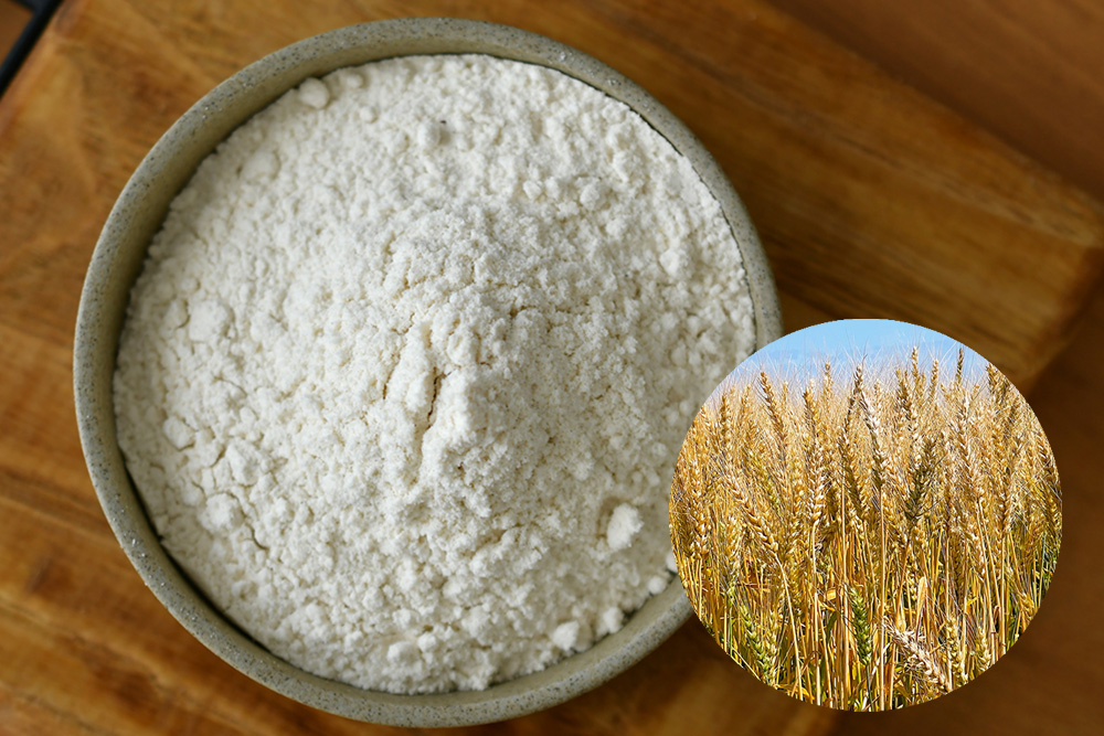 山形県産小麦